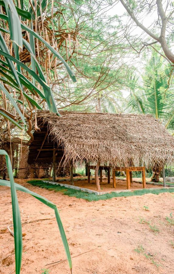Sarada Beach Resort Tissamaharama Exterior foto